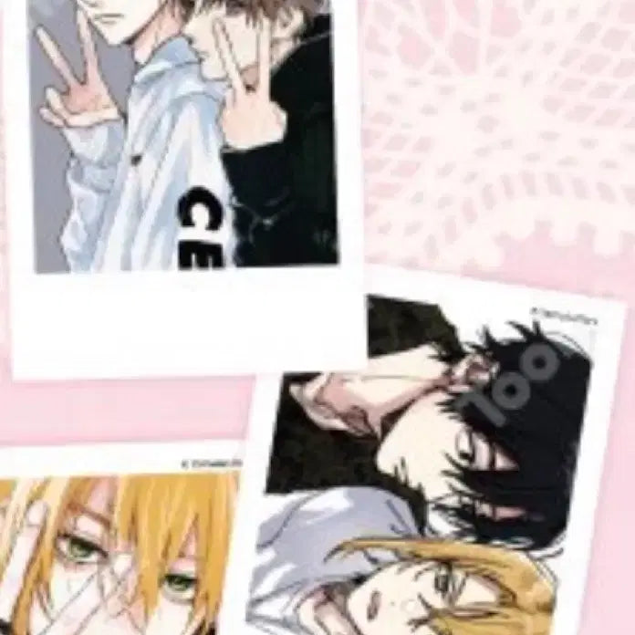 [BUNJANG] Tashiro - You Are That Guy Polar Photocard Bundle Set / 타시로 너란 녀석은 폴라 포카 드볼 풀셋 일괄