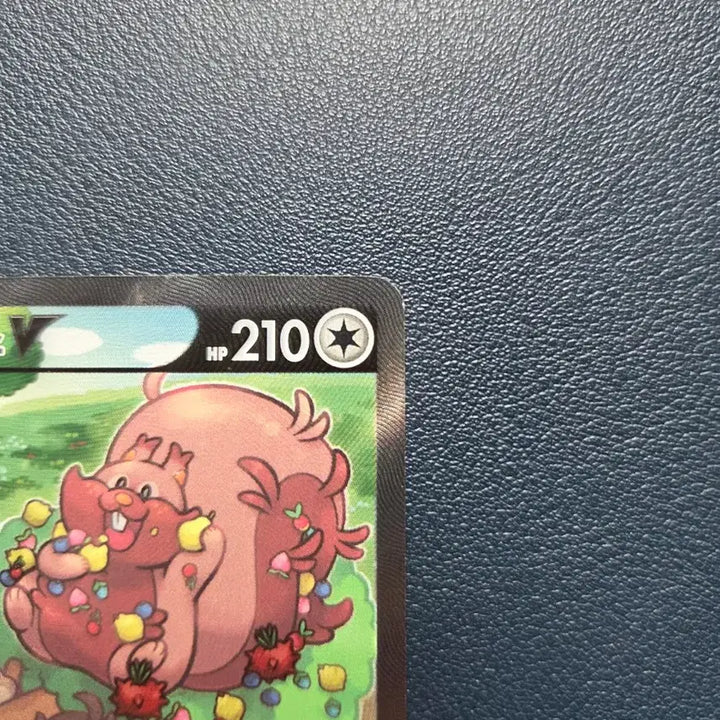 [BUNJANG] Yoshinglyss V SR Special Edition Pokemon Card / 요씽리스 v sr 특일 포켓몬카드