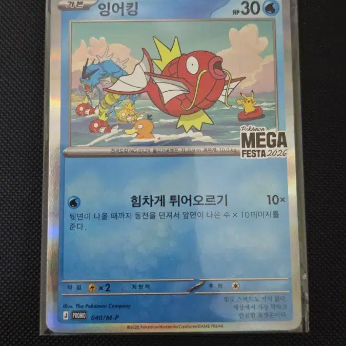 [BUNJANG] Pokemon Card Magikarp Promo 2026 Mega Festa / 포켓몬카드 잉어킹 프로모 2026 메가페스타