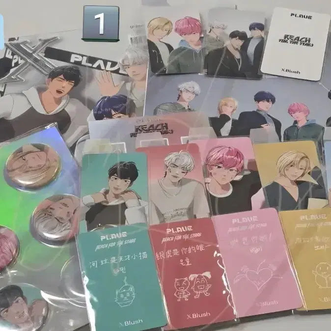 [BUNJANG] Plectr_us 2025 Xblush C Version / 플레이브 2025 Xblush C판