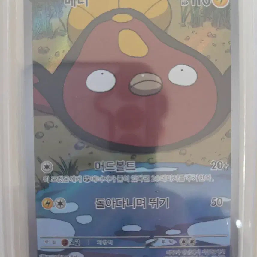 [BUNJANG] Pokemon Card Medar AR / 포켓몬카드 메더 AR