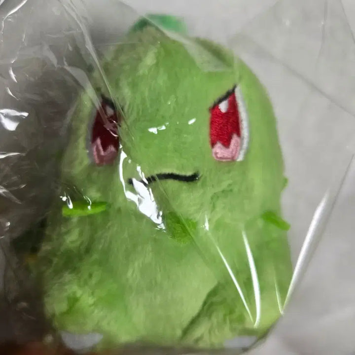 [BUNJANG] Pokemon Center Shanghai Chikorita Headbanger / 치코리타 중국 상하이 포켓몬 센터 헤드뱅잉