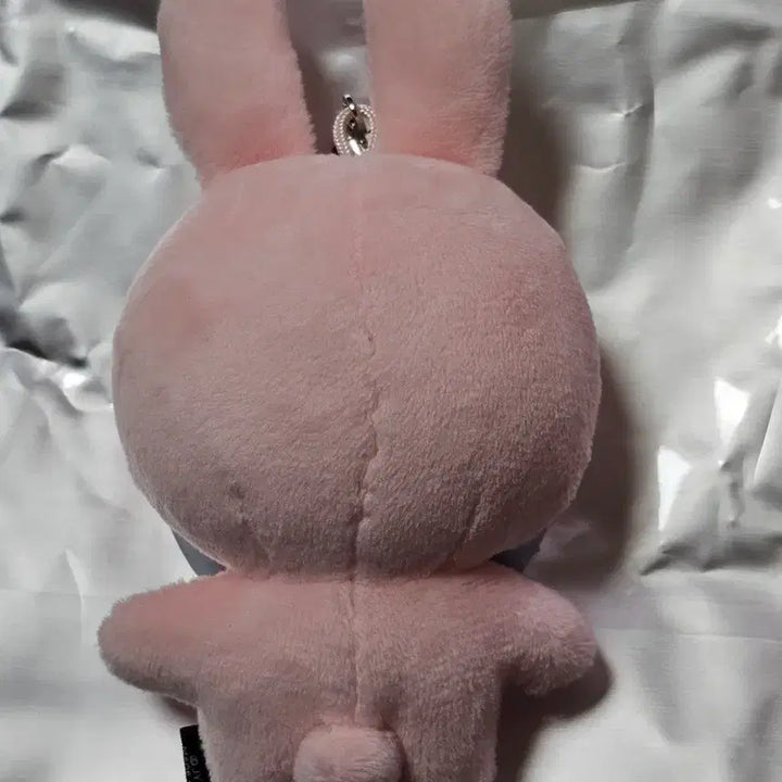 [BUNJANG] DAY6 Wonpil Puengpil Acrylic Keyring / 원필 시크릿 키링 뿌엥필 양도합니다.