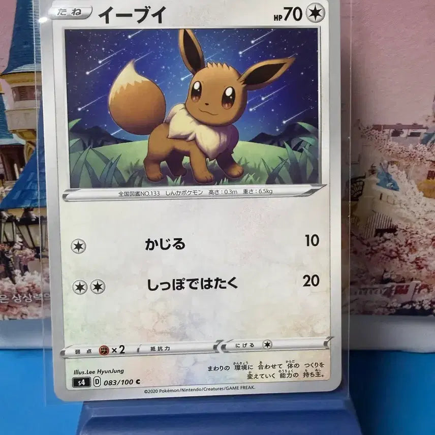 [BUNJANG] Japanese Pokemon Card Eevee Album Version / 일판 포켓몬카드 이브이 앨범용