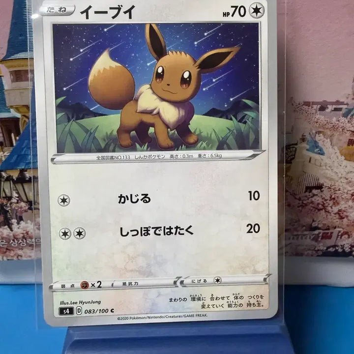 [BUNJANG] Japanese Pokemon Card Eevee Album Version / 일판 포켓몬카드 이브이 앨범용