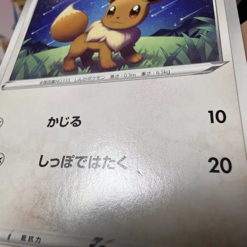 [BUNJANG] Japanese Pokemon Card Eevee Album Version / 일판 포켓몬카드 이브이 앨범용