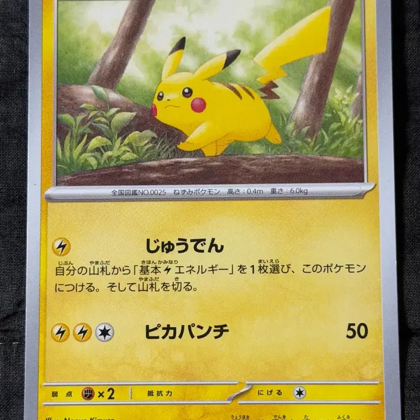 [BUNJANG] Japanese Pokemon Card Pikachu Album Set (3 Cards) / 일판 포켓몬카드 피카츄 앨범용 3장