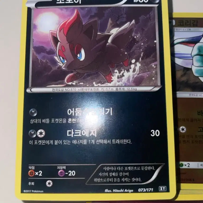 [BUNJANG] Pokemon Cards Bundle / 포켓몬카드 판매합니다!