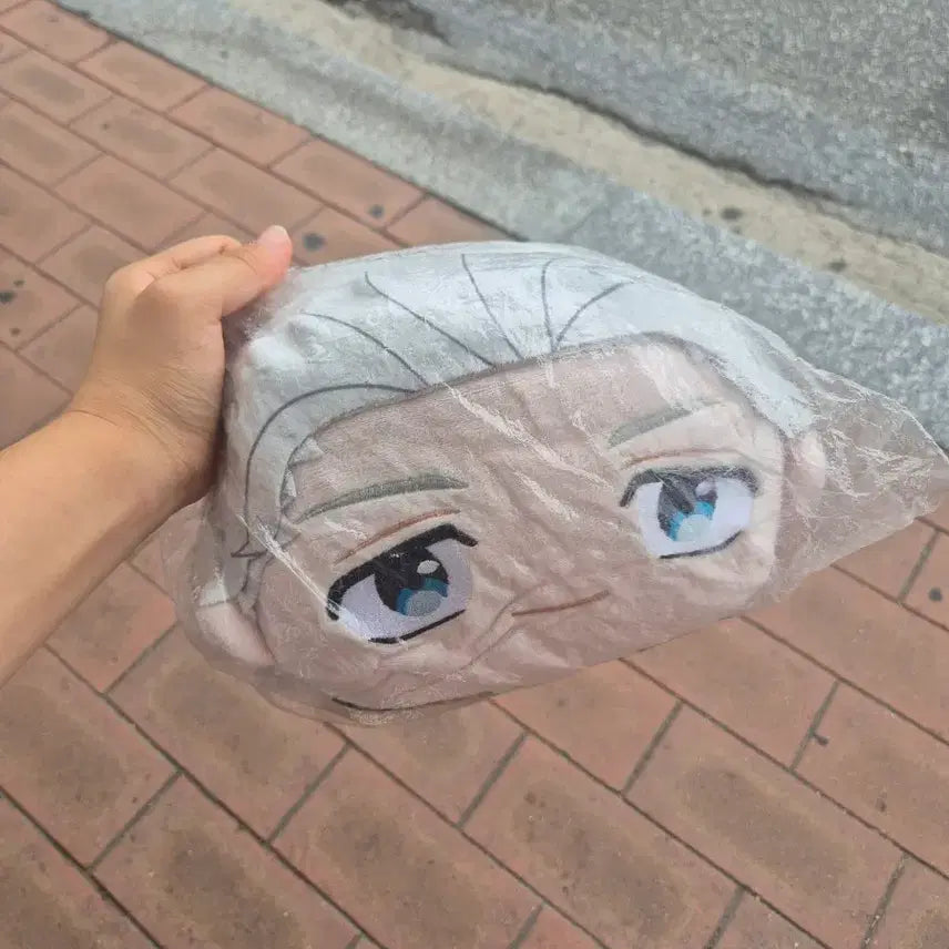 [BUNJANG] Wind Breaker Umemiya Hajime Large Big Plush Doll / 윈드브레이커(윈브레)우메미야 하지메 대형 빅 인형 판매