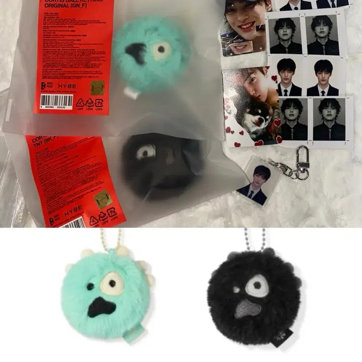 [BUNJANG] TFN Kisu Mini Cortis Ball Keyring Bundle Set / 미니 코르티스 볼 TNT 키링 / 인형 건호 증사