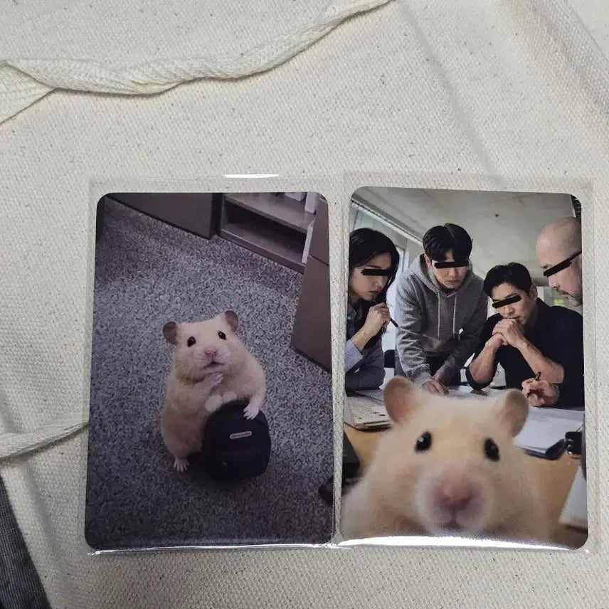 [BUNJANG] Kim Hamzzi Photocard 2-Type Set / 김햄찌 포토카드 2종 세트