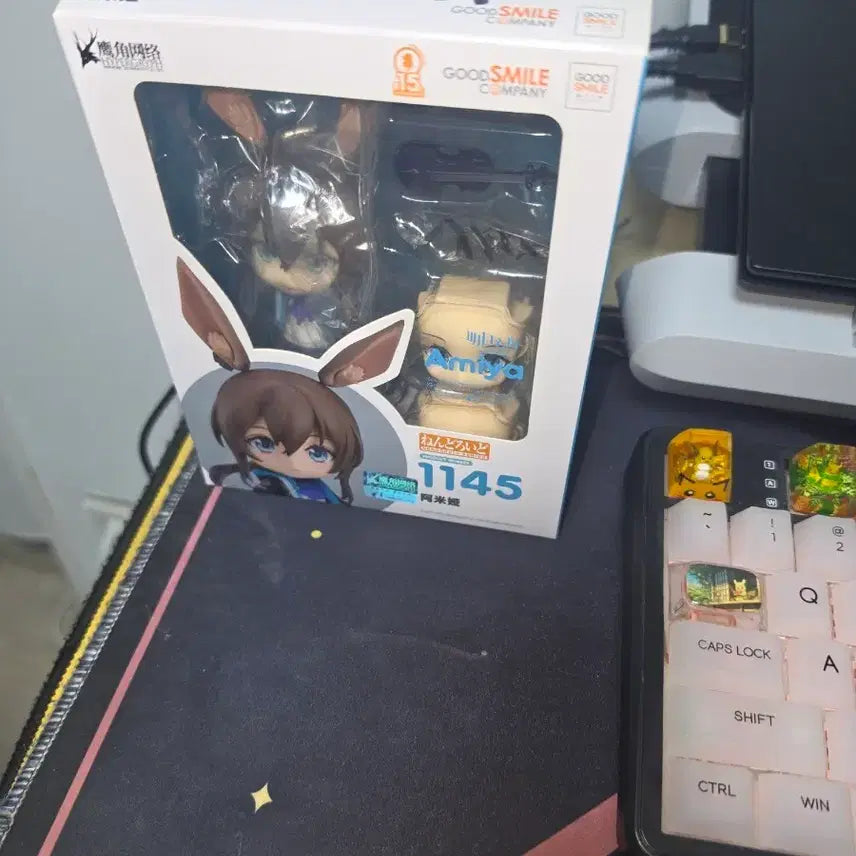 [BUNJANG] Amiya Nendoroid / 명일방주 아미야 넨도로이드 판매