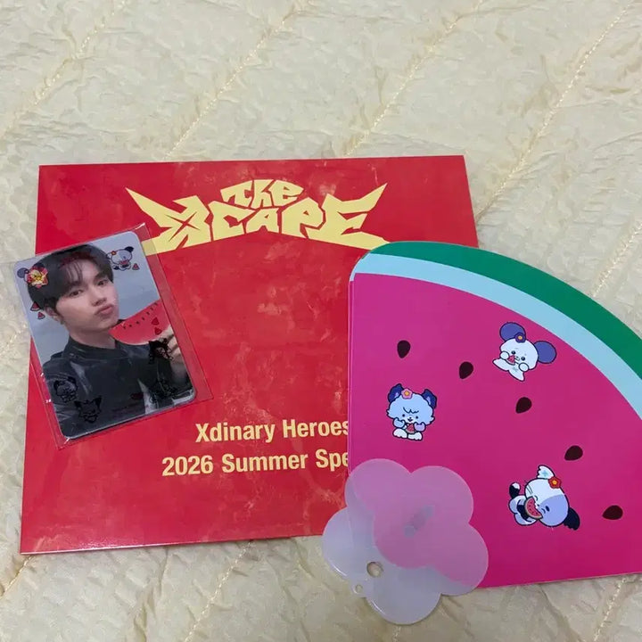 [BUNJANG] AKZ 2026 Summer Concert First Day Admission Gift Set / 엑디즈 2026 썸머콘 첫콘 입장기프트