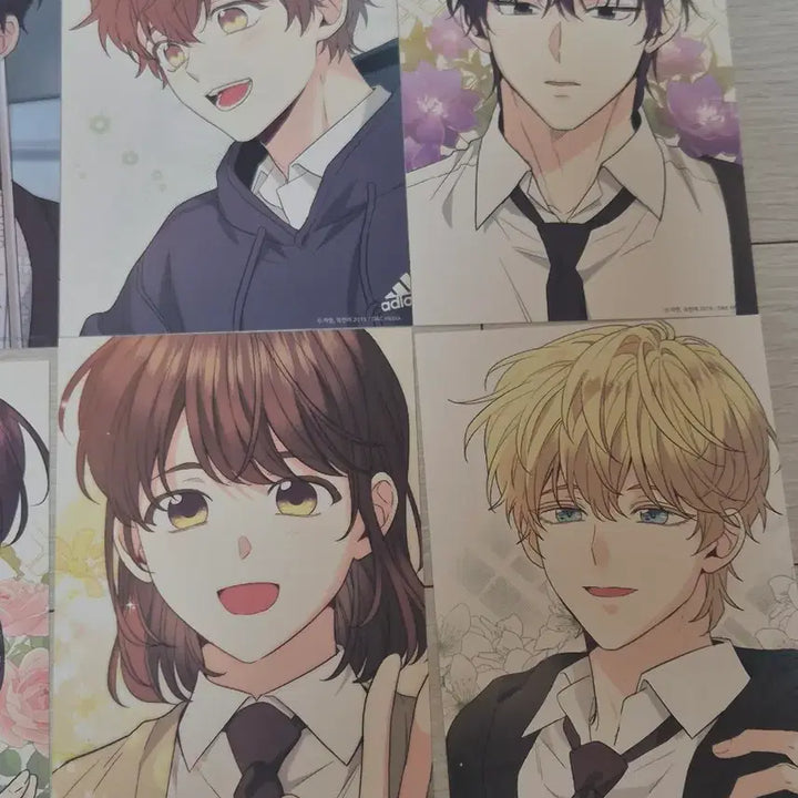[BUNJANG] The Law of Fiction Postcard Bundle Set / 인소의 법칙 엽서 팔아요