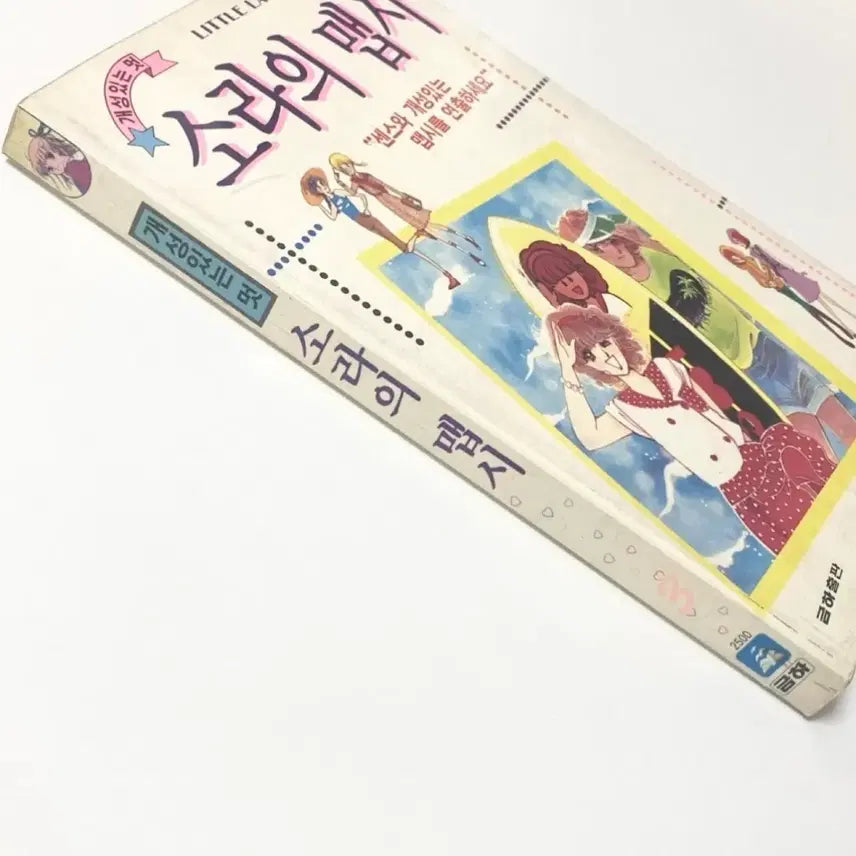 [BUNJANG] Little Lady (Sorayeui Mapssi) - 1992 Korean Edition - Vintage Collectible Book / 1992 개성있는멋 소라의맵시 리틀레이디 금하출판 80년대 90년대 추억의책 빈티지 고서 인테리어 소품 레트로 카페