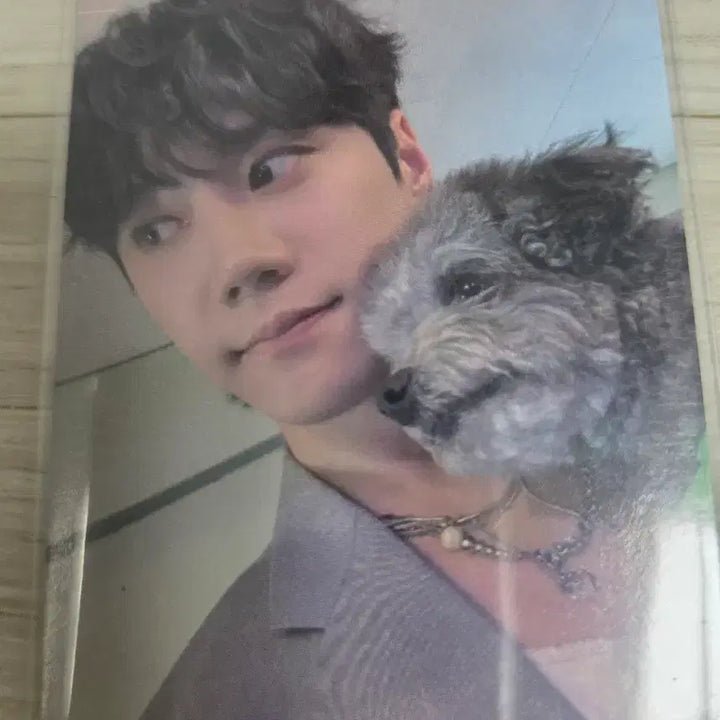 [BUNJANG] Lee Junyoung J.J.Y. Music POB Photocard / 이준영 제제뮤 포카(미공포) 양도