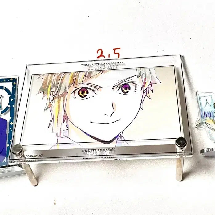 [BUNJANG] Bungo Stray Dogs Goods Bundle Set / 문호 스트레이독스 문스독 굿즈 세트(일괄선호)