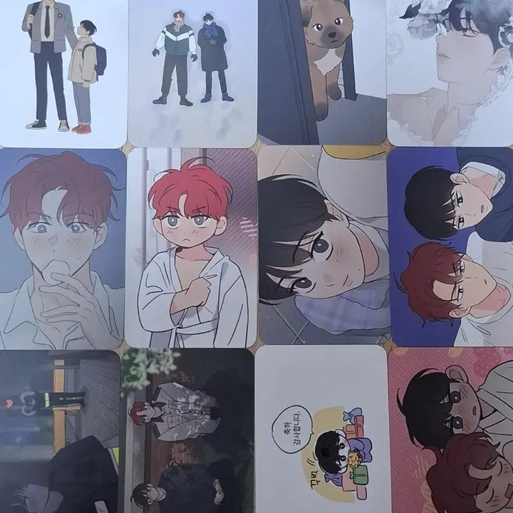 [BUNJANG] Toonique Dream Visitor Photocard / 투니크 꿈자리가 이상한데요 꿈자리 방문 포카 방포 포토카드 판매양도