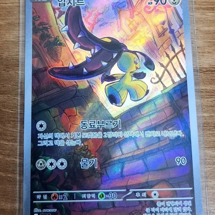[BUNJANG] Pokemon Card Deck - Ivysaur AR / 포켓몬카드 100덱 입치트 AR