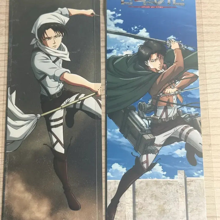 [BUNJANG] Attack on Titan Levi Ackerman Photogray Bundle / 진격의 거인 진격거 리바이 아커만 포토그레이 일괄 판매