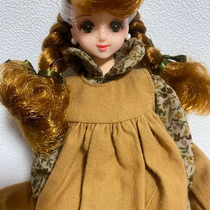 [BUNJANG] Totoco Anne of Green Gables Doll / TOTOCO 빨강머리앤 (anne of green gables)