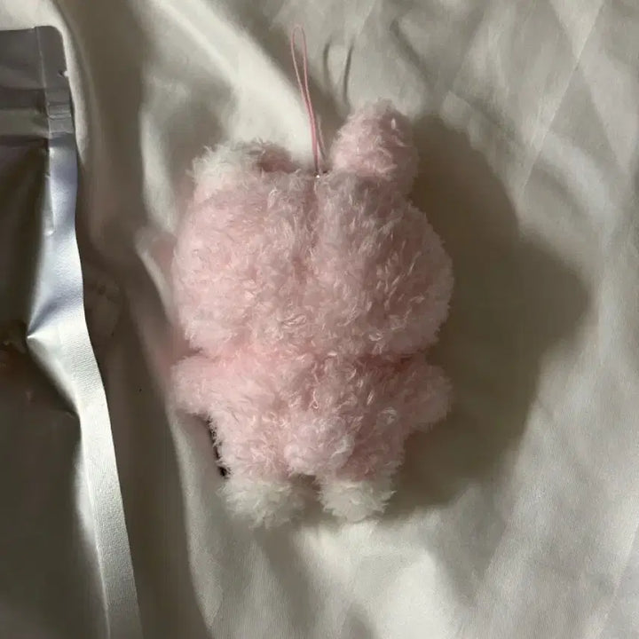 [BUNJANG] DAY6 Wonpil Unfiltered Secret Mini Plush Keychain / [원가양도] 원필 언필터드 시크릿 키링 초롱필