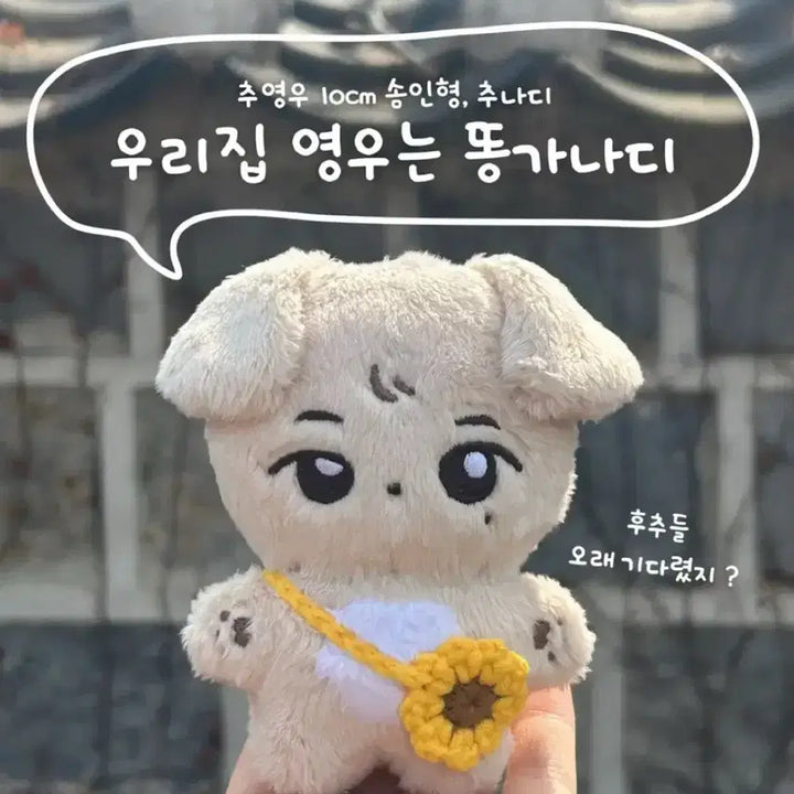 [BUNJANG] Chunadi Doll / 추나디 인형 판매 합니다!