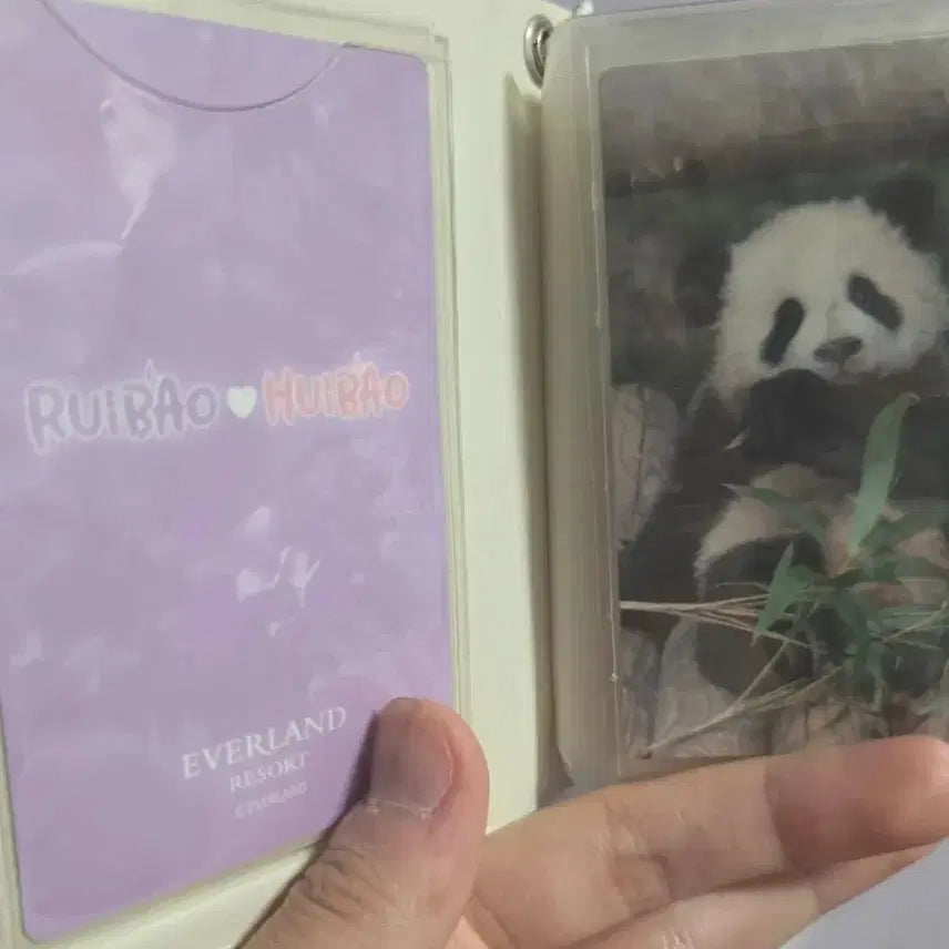 [BUNJANG] LUI HUI Photocard Album / 루이후이 포토카드 앨범