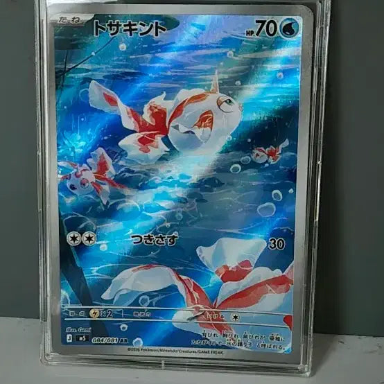 [BUNJANG] Pokemon Card Japanese Konchiar SR / 포켓몬 카드 일판 콘치ar 카드 팝니다