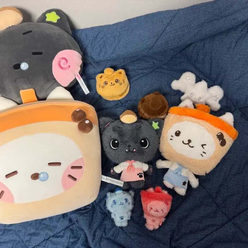 [BUNJANG] NCT WISH Bubble Nyan Kuri Bundle Set / 엔시티위시 버블냥 쿠리 일괄