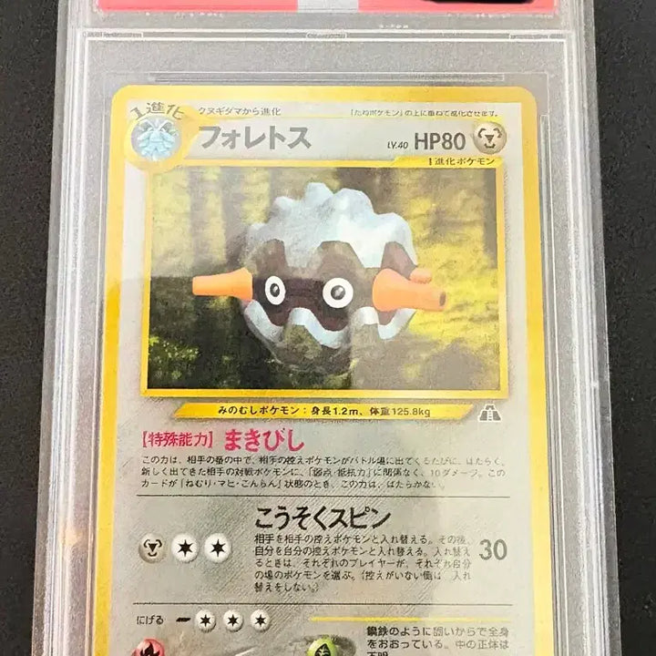 [BUNJANG] Pokemon Card Ancient Card Holo PSA 10 / 포켓몬카드 쏘콘 고대카드 홀로 psa 10
