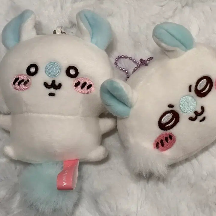 [BUNJANG] Chiikawa Momonga Bundle Set (5 Variants) / 치이카와 초코박스 모몽가 일괄판매 콩눈모몽가 5가지판매
