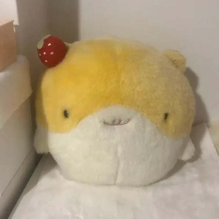 [BUNJANG] Hammaro Plush Doll / 햄마로 인형