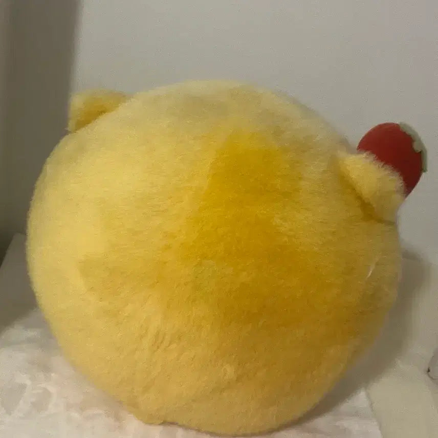 [BUNJANG] Hammaro Plush Doll / 햄마로 인형