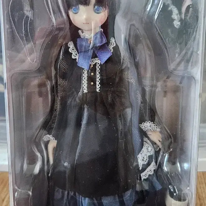 [BUNJANG] Azone Pureneemo Colorful Dreamin Asahina Shihu Black Cat Version Unsealed / 아존 퓨어니모 컬러풀 드리민 아사히나 시호 흑묘 버전 개봉품 판매