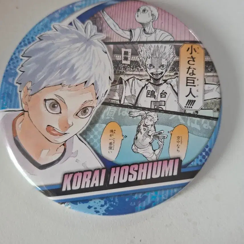 [BUNJANG] Haikyu!! Hoshiumi Can Badge / [하이큐] 호시우미 캔뱃지 판매