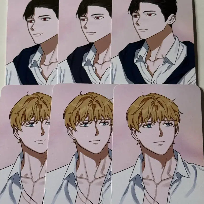 [BUNJANG] Arctic Fox Second Echo Black Guardian Photocard / 북극여우 세컨드에코 검은후견인 포카 양도