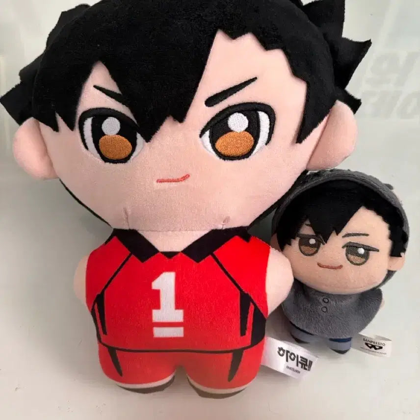 [BUNJANG] Haikyuu!! Tetsuro Kuroo Doll Bundle Set / 하이큐 쿠로오 테츠로 인형 일괄