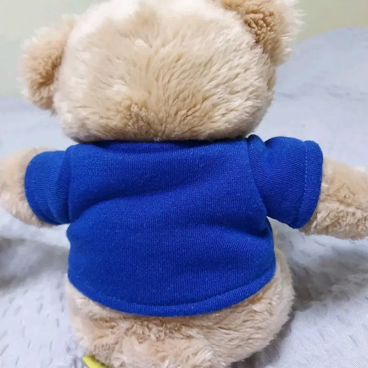 [BUNJANG] Legoland Bear Plush / 레고랜드 베어 곰 인형