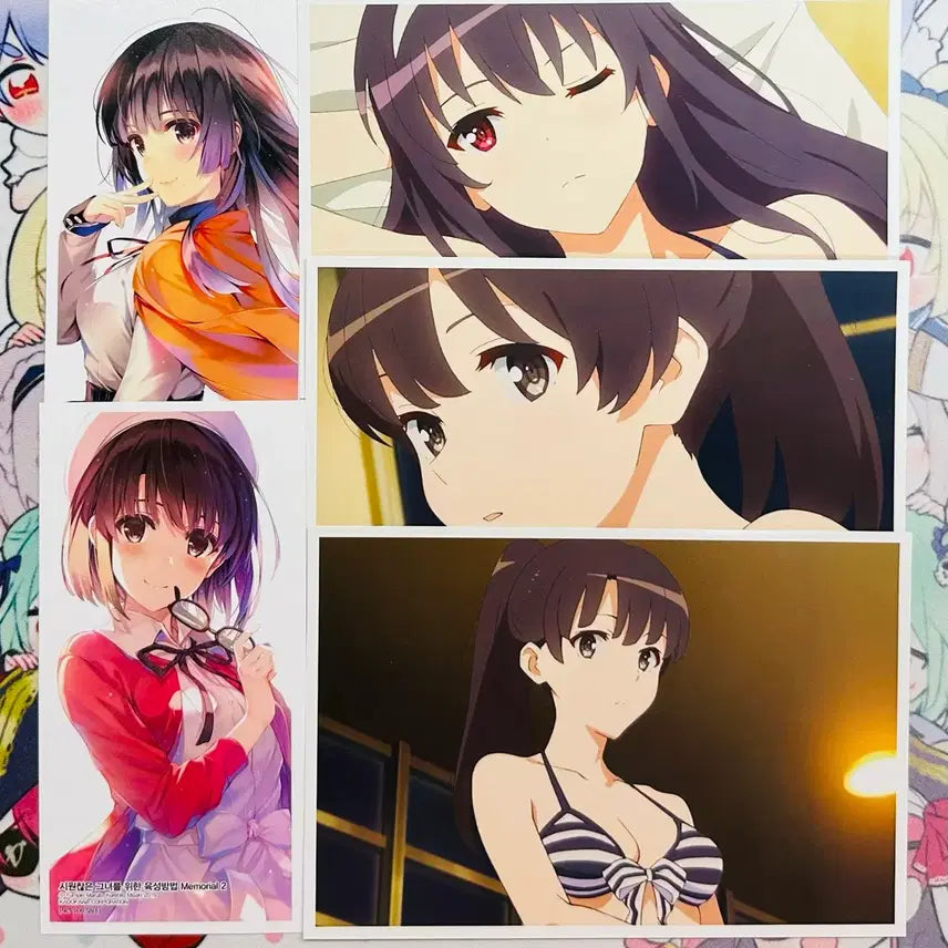 [BUNJANG] Saekano Kato Megumi &amp; Utaha Photocard Bundle Set / 사에카노 카토메구미/우타하 포토카드 일괄세트
