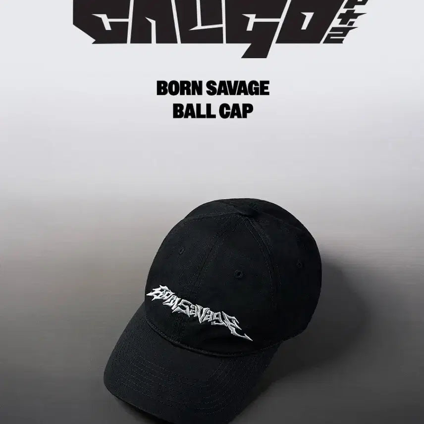 [BUNJANG] Play-V Bonssavage Ball Cap Hat / 플레이브 본새비지 볼캡 모자
