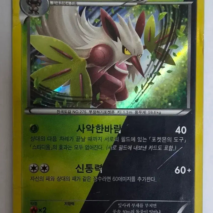 [BUNJANG] Datengu xy11 / 다탱구 xy11