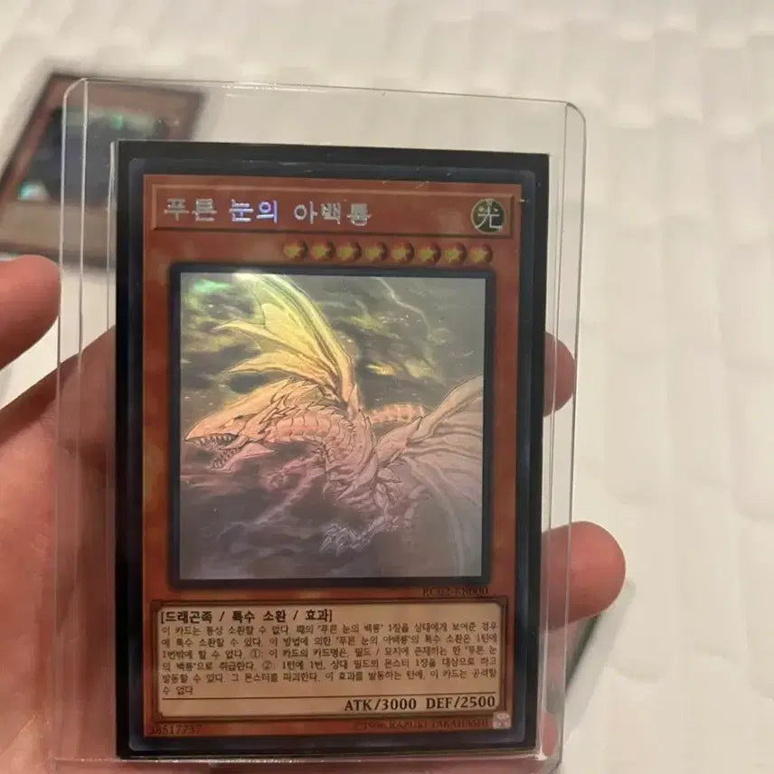 [BUNJANG] Yu-Gi-Oh! Card Bundle Set / 유희왕카드 일괄판매