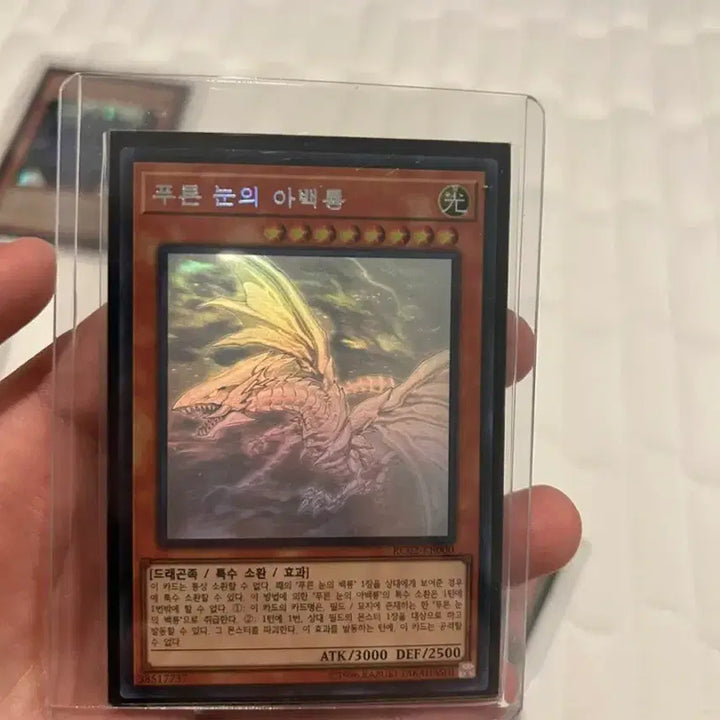 [BUNJANG] Yu-Gi-Oh! Card Bundle Set / 유희왕카드 일괄판매