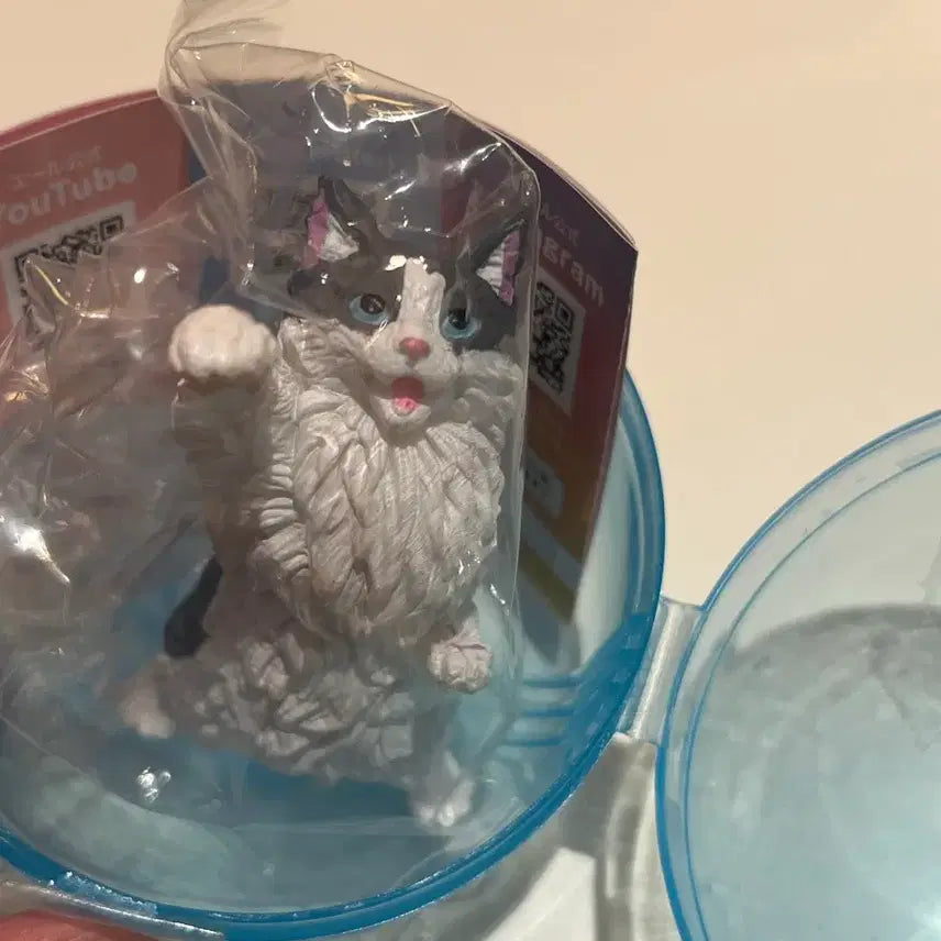 [BUNJANG] Fighting Cat Gacha Figure / 화이팅하는 고양이 가챠 판매합니다.