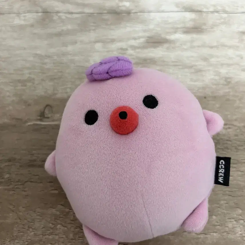 [BUNJANG] CRAVITY Wonjin Dakong Doll / 크래비티 원진 다콩이