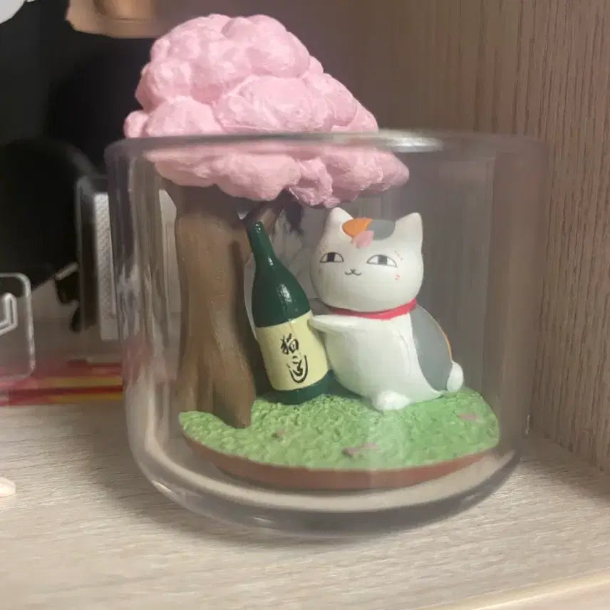 [BUNJANG] Natsume&