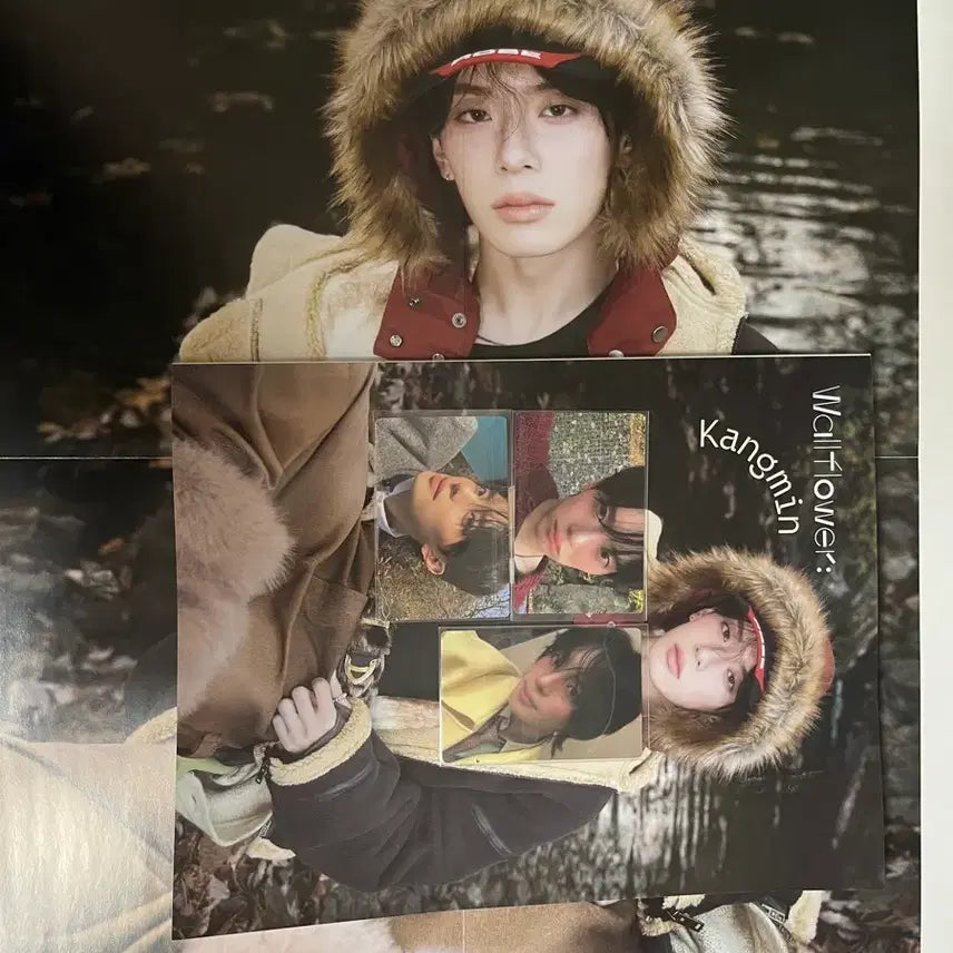 [BUNJANG] Wallflower Kangmin Photobook + Photocard Set / Wallflower: kangmin+포스터+포카