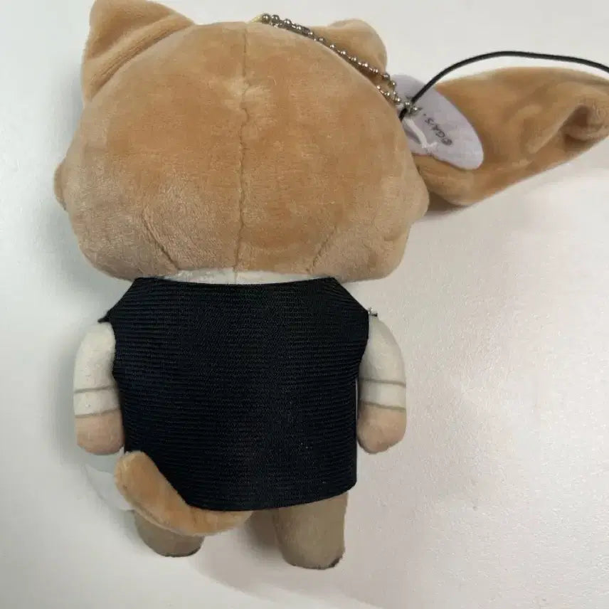 [BUNJANG] Detective Conan Toru Amuro Cat Plush / 명탐정코난 아무로토오루 네코누이