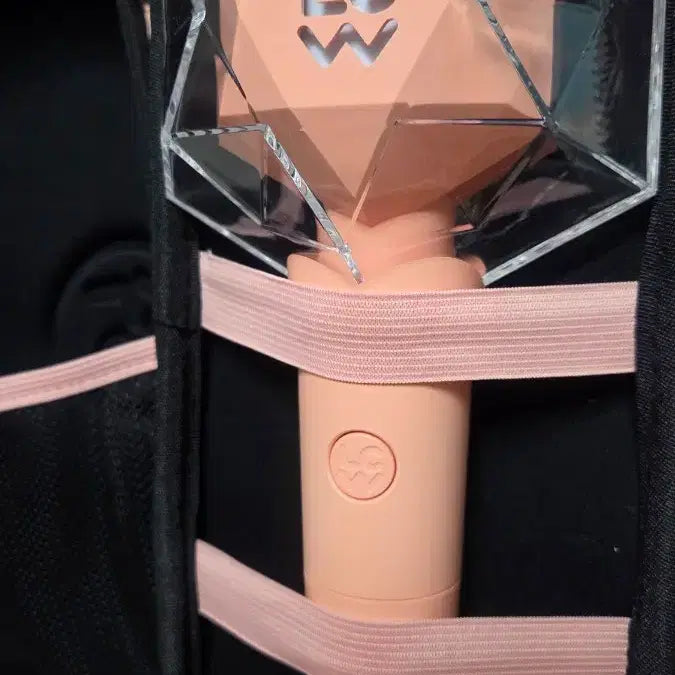[BUNJANG] Lee Chan Won Official Light Stick / 이찬원 응원봉